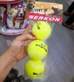توپ بازی سگ و گربه مدل Werkon 919 - Image 3