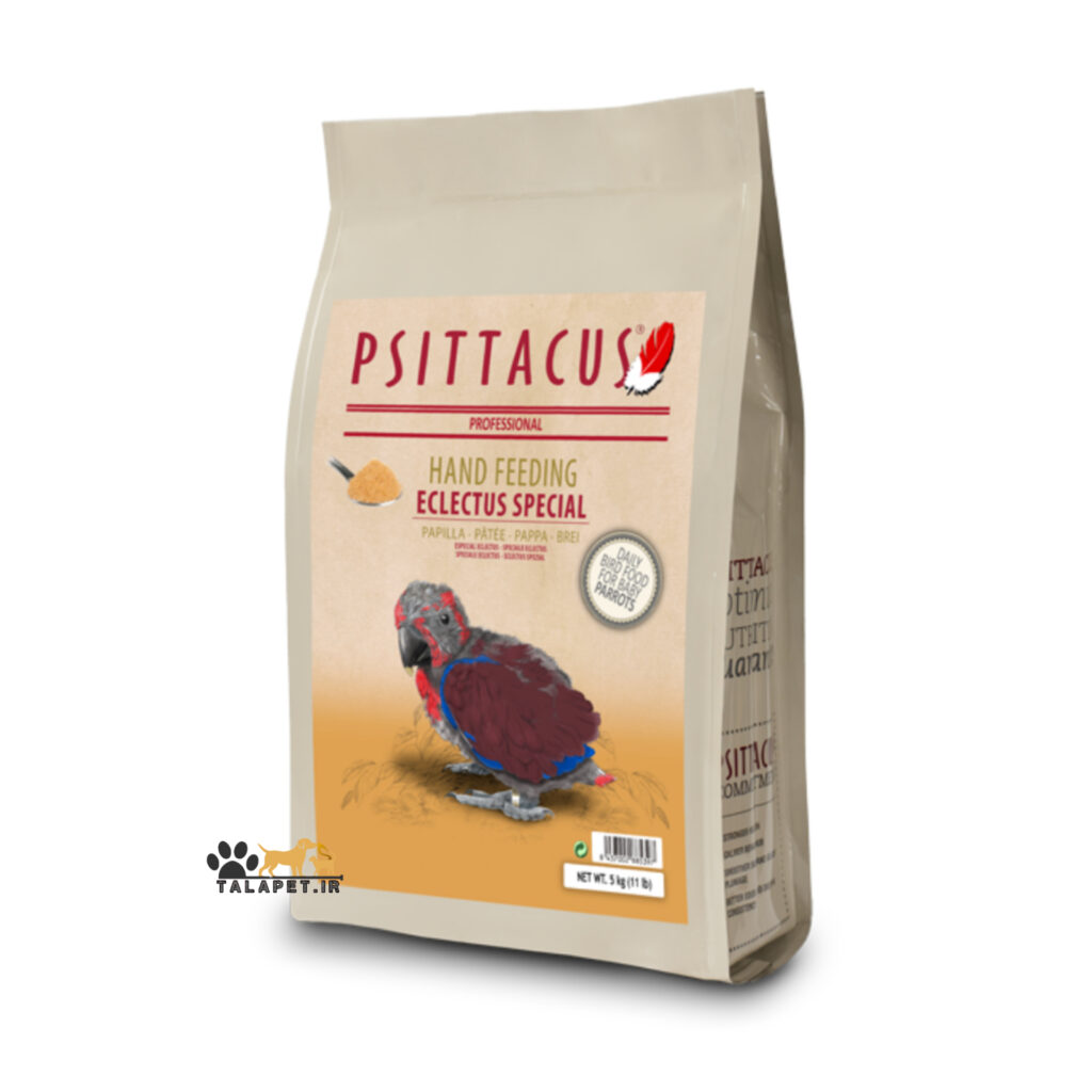 سرلاک اکلکتوس سیتاکوسEclectus special