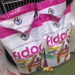 غذای خشک سگ بالغ نژاد کوچک فیدار پاتیرا - Image 4