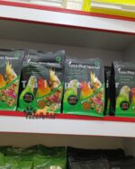 دان مخلوط طوطیسانان کوچک و متوسط جثه کوکو - Image 2