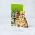 استیک عسلی کوکو