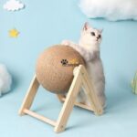 اسکرچر گربه