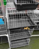 قفس مخصوص جوندگان ( خرگوش ، خوکچه و .....) - Image 3