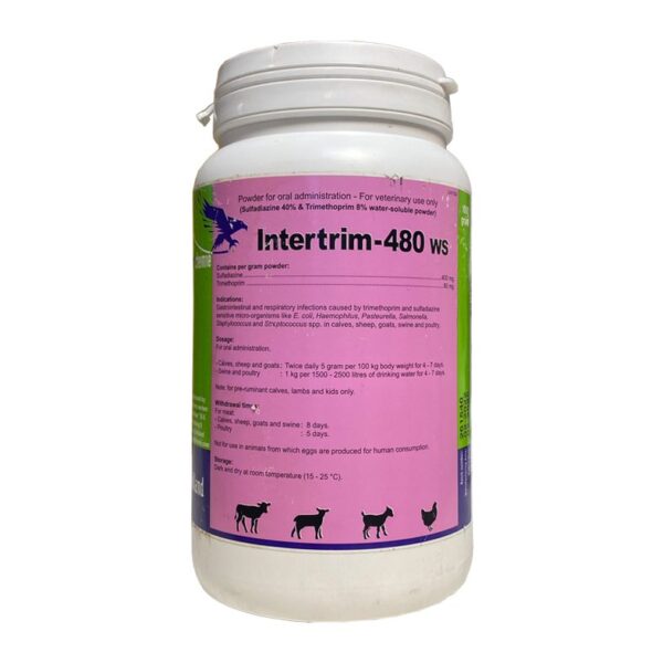 انتی بیوتیک اینترتریم intertrim 480