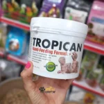 سرلاک تروپیکن طوطیسانان و پرندگان زینتی - Image 2