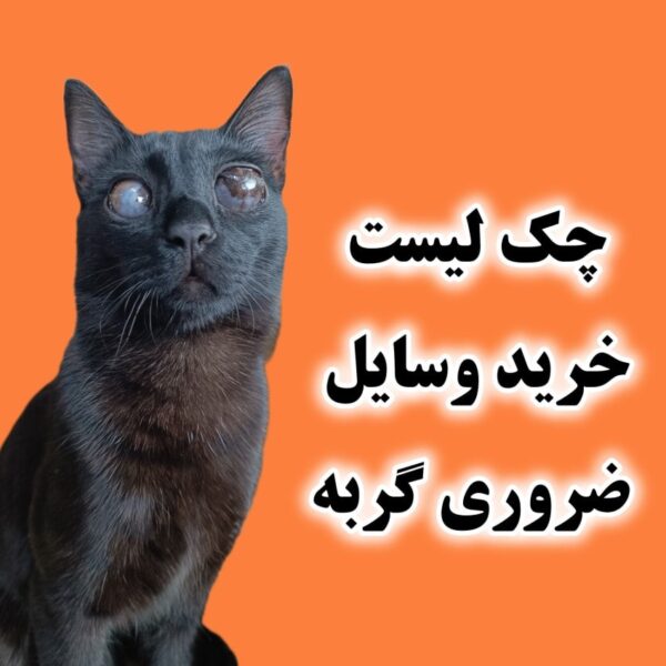 مقاله چک‌لیست خرید وسایل ضروری برای گربه – مخصوص خریداران تازه‌کار