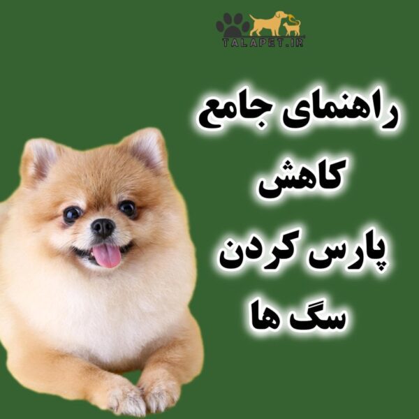 مقاله راهنمای جامع کاهش پارس کردن سگ‌ها