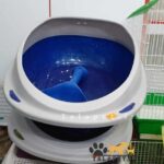 ظرف خاک گربه کویلا مدل لبه دار ترکیبی از کیفیت، طراحی و راحتی - Image 3