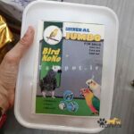 سنگ کلسیم طوطیسانان و پرندگان جامبو - Image 2