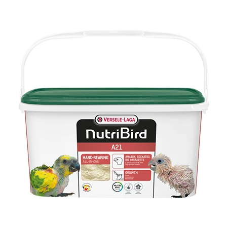 سرلاک  ورسلاگا A21